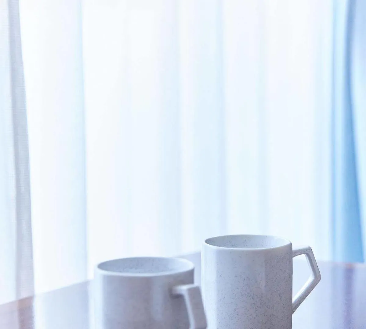 Hotel Business Villa Omori Tokyo 2*,  Japan